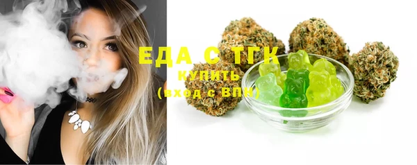 индика Дмитровск
