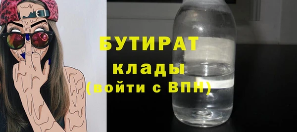 индика Дмитровск
