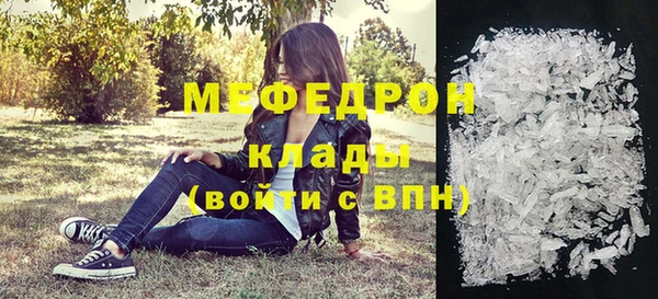 индика Дмитровск