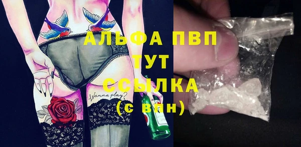 сатива Дмитриев