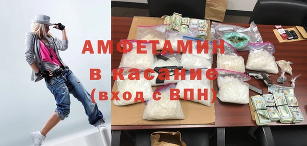 сатива Дмитриев