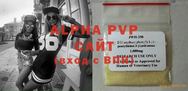 индика Дмитровск
