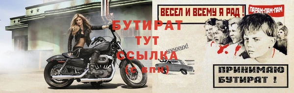индика Дмитровск