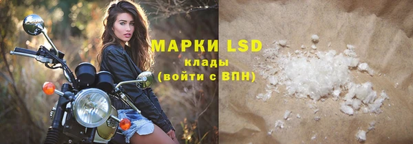 индика Дмитровск