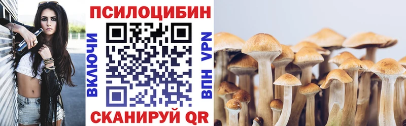 Псилоцибиновые грибы Magic Shrooms Свободный