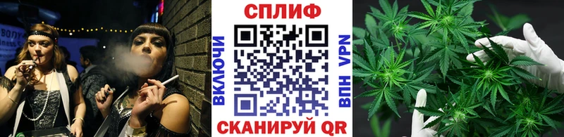 Купить  Свободный  Бошки марихуана SATIVA & INDICA 